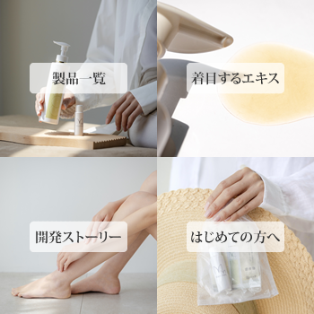 成分構成